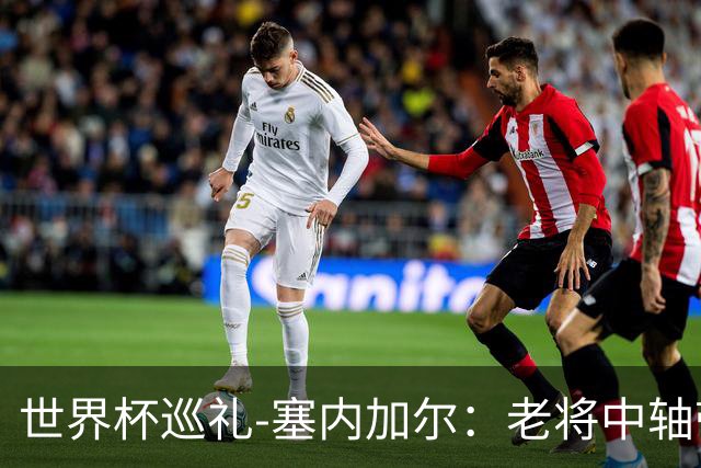 世界杯巡礼-塞内加尔：老将中轴带来安全感，非洲顶流前景可期！